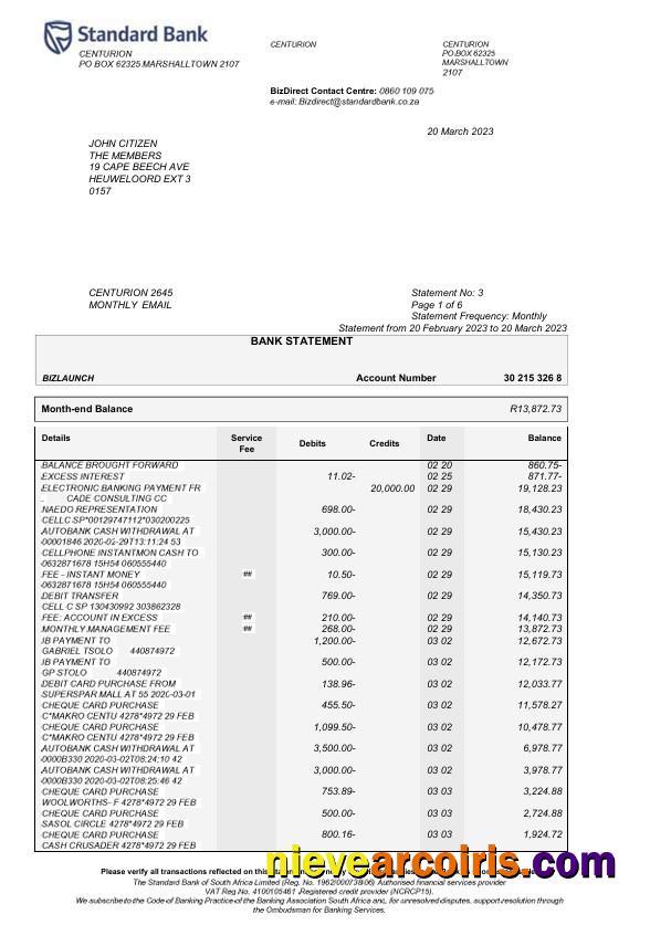 USA Standard Bank statement Word and PDF, 6 pages